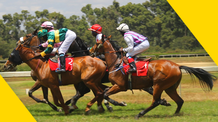 How to Bet on Kenyan Horse Racing
