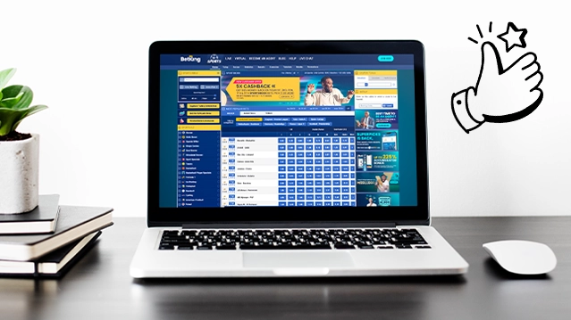 BetKing Platform Usability and Functionality